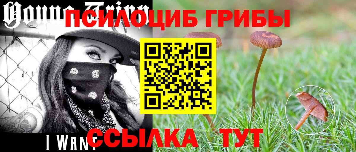 Галлюциногенные грибы Psilocybine cubensis  Вход с VPN  Воткинск  Псилоцибиновые грибы Magic Shrooms 